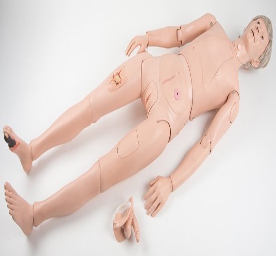 Nursing Skills Manikins