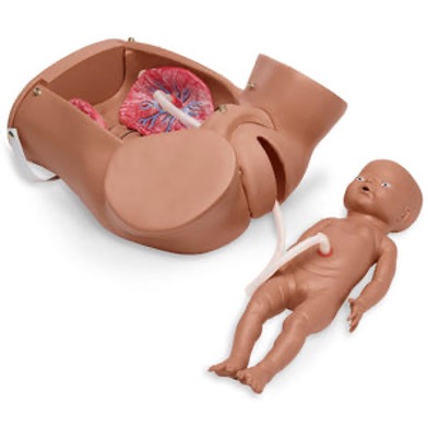 Childbirth & Obstetrics Simulators